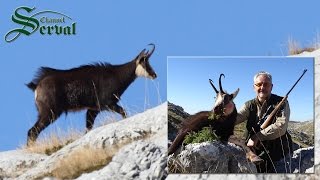 Balkan Chamois hunting in the Croatian mountains  Biokovo – part 2 Gamsjagd in Kroatien [upl. by Ardaed311]