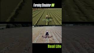 Farming Simulator 25 vs Real Life  Windrowing farmingsimulator25 farmsimvsreallife gaming [upl. by Lladnarc]