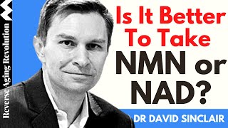 IS IT BETTER TO TAKE NMN OR NAD  Dr David Sinclair Interview Clips [upl. by Kcim]