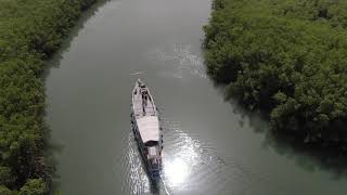 Boat cruise on The Gambia River [upl. by Adebayo450]