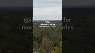 Beautiful autumn views from the top of the trees in Beelitz autumncolors herbst visitgermany [upl. by Louanna]