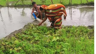 आज हम अपने खेत में धान का बिया डालेंगे Mere khet ka vlog Hamari dhan ki kheti ka vlog [upl. by Anerdna]