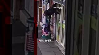 TikTok fame for Welsh woman filmed dangling from shop shutters Wales BBCNews [upl. by Nwahsid833]