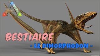 Ark Survival Evolved  FR  Bestiaire  Le Dimorphodon [upl. by Amado]