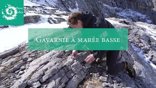 Gavarnie à marée basse [upl. by Angeli844]