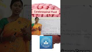 Cerebrospinal Fluid CSF cerebrospinalfluid functionsofcsf deepikasciencecorner sciencetopics [upl. by Nilreb]