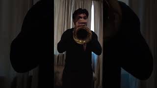 Paris Couesnon flugelhorn [upl. by Yancey]