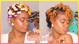 Perfect Perm Rod Set on Short Natural 4b 4c Hair  Beginner Friendly [upl. by Cynthla]