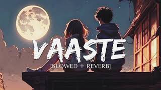 Vaaste  Lofi Slowed  Reverb  cover song [upl. by Nomma]