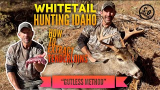 Hunting IDAHO Whitetails Vapor Trail and The Best Tenderloin Extraction Method [upl. by Akamahs]