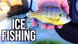 Ice Fishing for Bluegills 2016 [upl. by Heindrick]