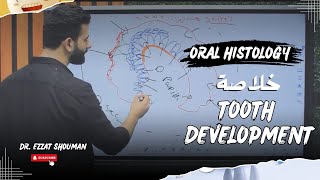 tooth development كامل  oral histology  عزت شومان [upl. by Welford]