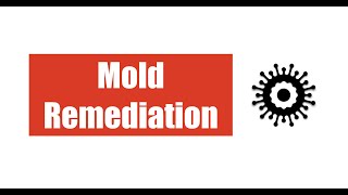 Mold Remediation [upl. by Langan]