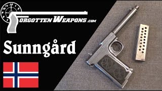 Sunngård Automatic Pistol 50 Rounds in 1909 [upl. by Crescin]