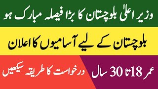 Balochistan Latest Jobs Today  Balochistan new jobs 2024  Pak Job Career 10 [upl. by Animas]