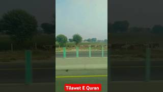 Tilawet E Quran explore تلاوةجميلة soothingquran alquran heartwarmingrecitation youtube love [upl. by Krell52]