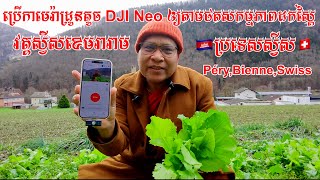 ប្រើកាមេរ៉ាដ្រូនតូច DJI Neo ឲ្យតាមថតទៅដកបន្លែស្ពៃលើដីចម្ការនៅវត្តស្វីសខេមរារាម [upl. by Arlynne683]