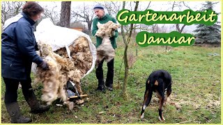 Gartenarbeiten Januar  Hackschnitzelmulch Schafwolle Kaninchen amp Hühner [upl. by Erdman]