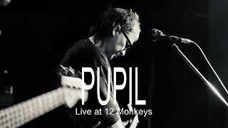 Pupil  Live at 12 Monkeys March 2 2024 [upl. by Kumar]