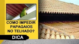 Como impedir Papagaios no telhado Placas Anti Maritacas e Roedores  Multicap [upl. by Kari]