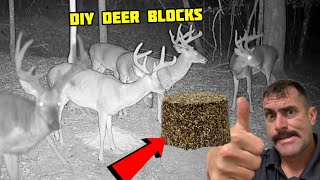 Homemade Deer Block Recipe…Cheap Fast Effective…Deer Can’t Resist [upl. by Ciaphus]