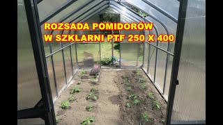 Ile zmieszczę pomidorów w szklarni PTF Pomidor Premium Plus Rozsada [upl. by Skiba823]