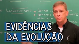 DARWINISMO CRIACIONISMO E LAMARCKISMO  EVIDÊNCIAS DA EVOLUÇÃO [upl. by Stromberg]