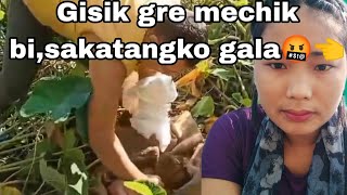 Aio billongjok mandeni gisik gre mechik bisatangkon takrakdamo gale donanga🙏 [upl. by Buiron332]