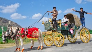 Living 24 hours on a real hourse cart 😍 घोड़ा गाड़ी की सवारी [upl. by Cello601]