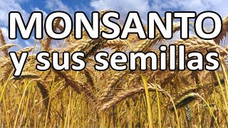 Monsanto y sus semillas [upl. by Dettmer]