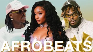 AFROBEAT BEST OF 2024 NAIJA VIDEO MIX 23 22 TYLA FIREBOY OMAH LAY CHRIS B WIZKID TEMS ASAKE [upl. by Woodward]