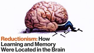 How Reductionism Uncovered Secrets of Longterm and Shortterm Memory  Eric Kandel  Big Think [upl. by Laraine]