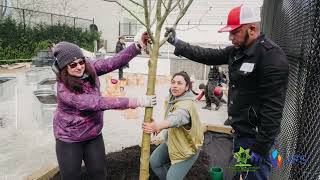 The Vancouver Jewish Community Garden VJCG  Community Build [upl. by Hsiekal26]