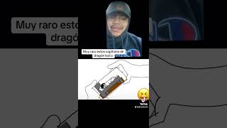 parati dragonball humor memes divertido foryou [upl. by Dylane]