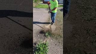 Crack weeds be gone weeding work trimmer trimming oddlysatisfying satisfy cleanup gardening [upl. by Gnaw586]