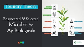 FT025  Engineered and Selected Microbes for Ag Biologicals [upl. by Secundas855]