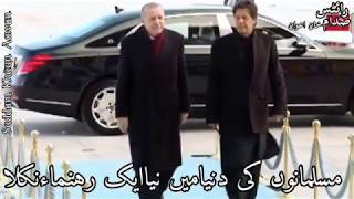 Alam lehra gaye is duniya mein Imran Khan and Tayyab Erdogan [upl. by Narcis]