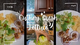 ASMR✨️Cutting FRESH Romaine Lettuce🥬 amp Serve cuttingskills satisfying asmr [upl. by Aisset]