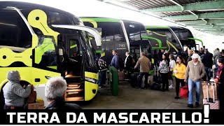 GRANDE MOVIMENTO DE ÔNIBUS NA CAPITAL DO OESTE PARANANESE  RODOVIÁRIA DE CASCAVELPR [upl. by Aneleairam207]