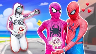 TEAM SPIDERMAN vs BAD GUY TEAM 29  Rescue Pregnant White Spider from CRAZY Jocker Action Movie [upl. by Gnol]