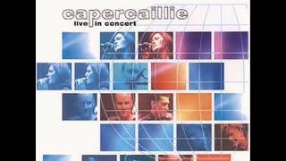 Capercaillie  Rob Roy Reels live [upl. by Benge]