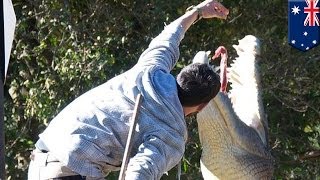 Crocodile attack handler dragged into water during crocodile feeding show [upl. by Lacefield]