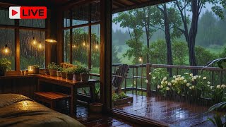 Fall Asleep With The Soothing Sounds Of Rain And Thunder  Study Relax with Rain SoundsWhite Noise [upl. by Wolk160]