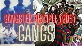 5 Gangster Disciple Gangs GDs  Chicago  Part 1 [upl. by Blondelle]