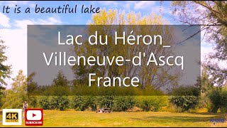 Lac du HéronVilleneuvedAscq in France 4K Het is een prachtig meer in Frankrijk [upl. by Gnuhc]