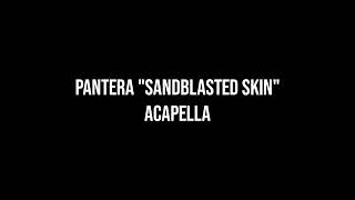 PANTERA quotSandblasted Skinquot Acapella vocals only [upl. by Libenson]