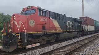 Freight Trains and Metra trains in Round Lake Illinois [upl. by Ricki836]