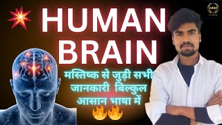 मानव मस्तिष्क  human brain  मस्तिष्क से जुड़ी सभी जानकारी  SANS [upl. by Elimay]