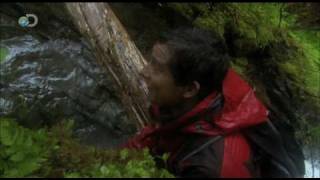 Man vs Wild  Alaska  Disastrous Results [upl. by Enaud]