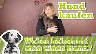 Welpen kaufen  Hund kaufen  Tipps vor dem Kauf [upl. by Shira]